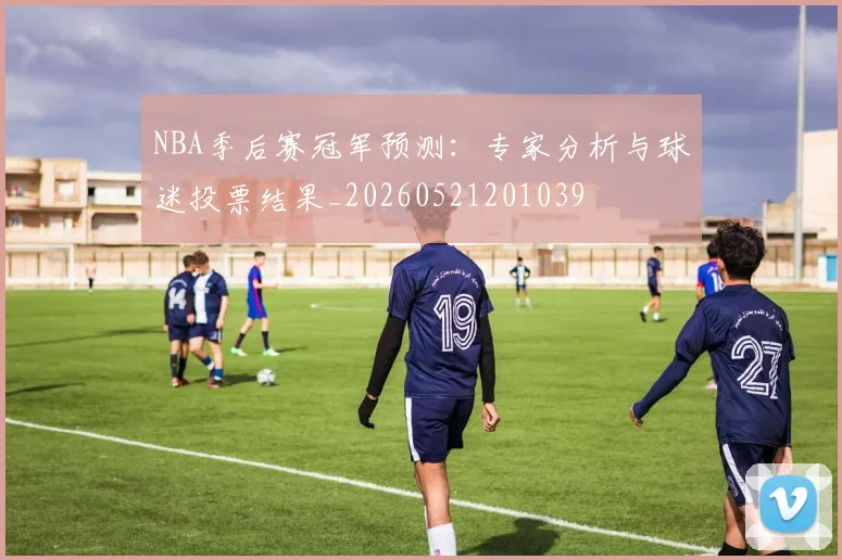 NBA季后赛冠军预测：专家分析与球迷投票结果_20260521201039